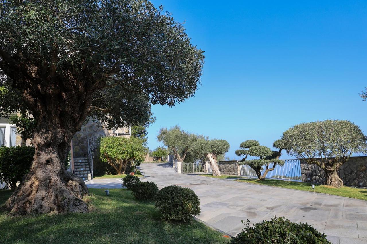 Villa Italia Sorrento Termini Ngoại thất bức ảnh