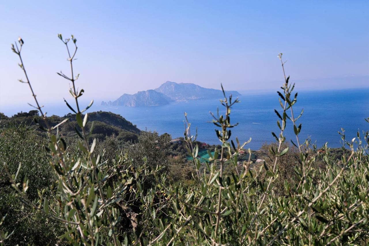 Villa Italia Sorrento Termini Ngoại thất bức ảnh